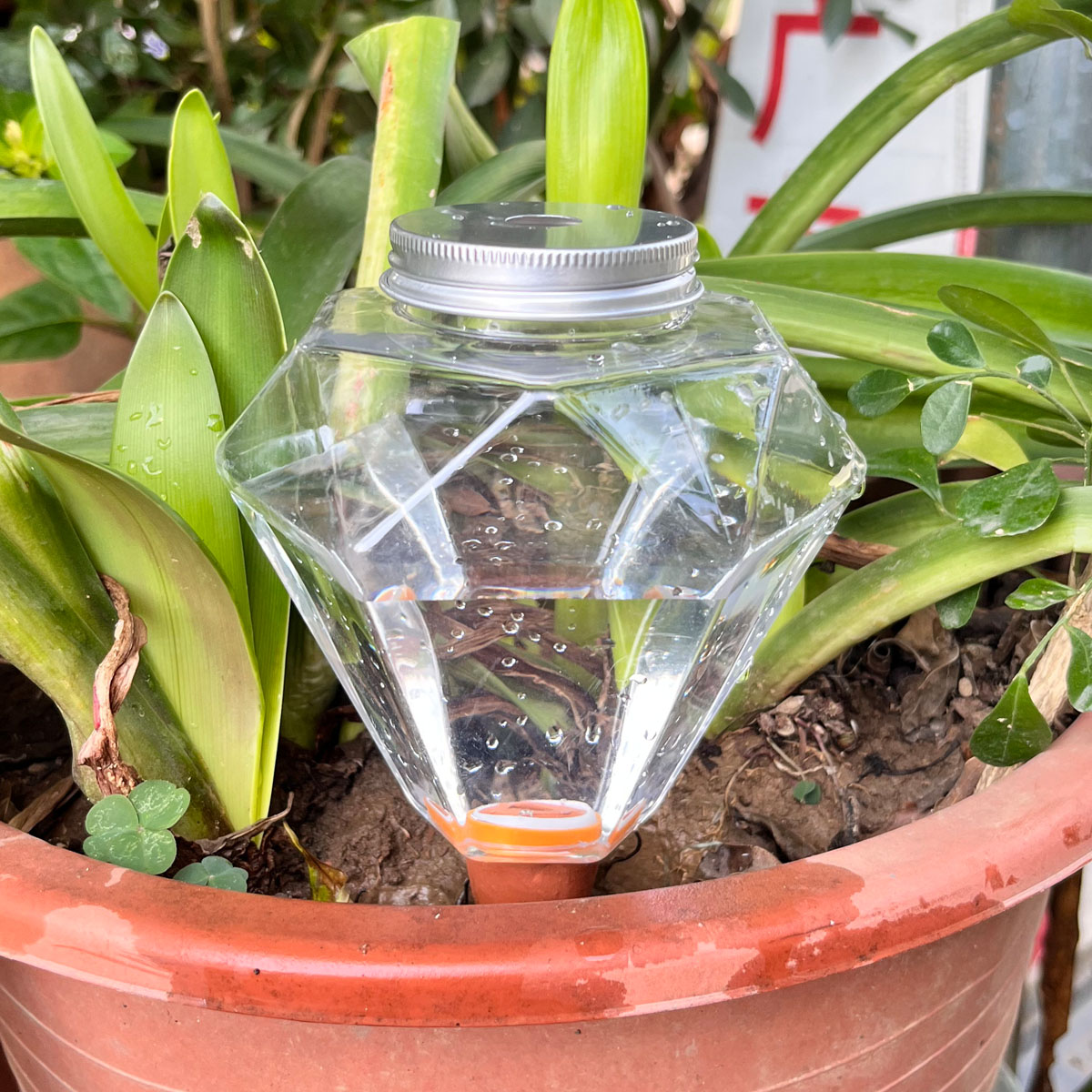 Automatic Plant Waterer - 1個入り 可愛いプラスチック製自動給水器 室内/屋外植物用自動散水グローブ