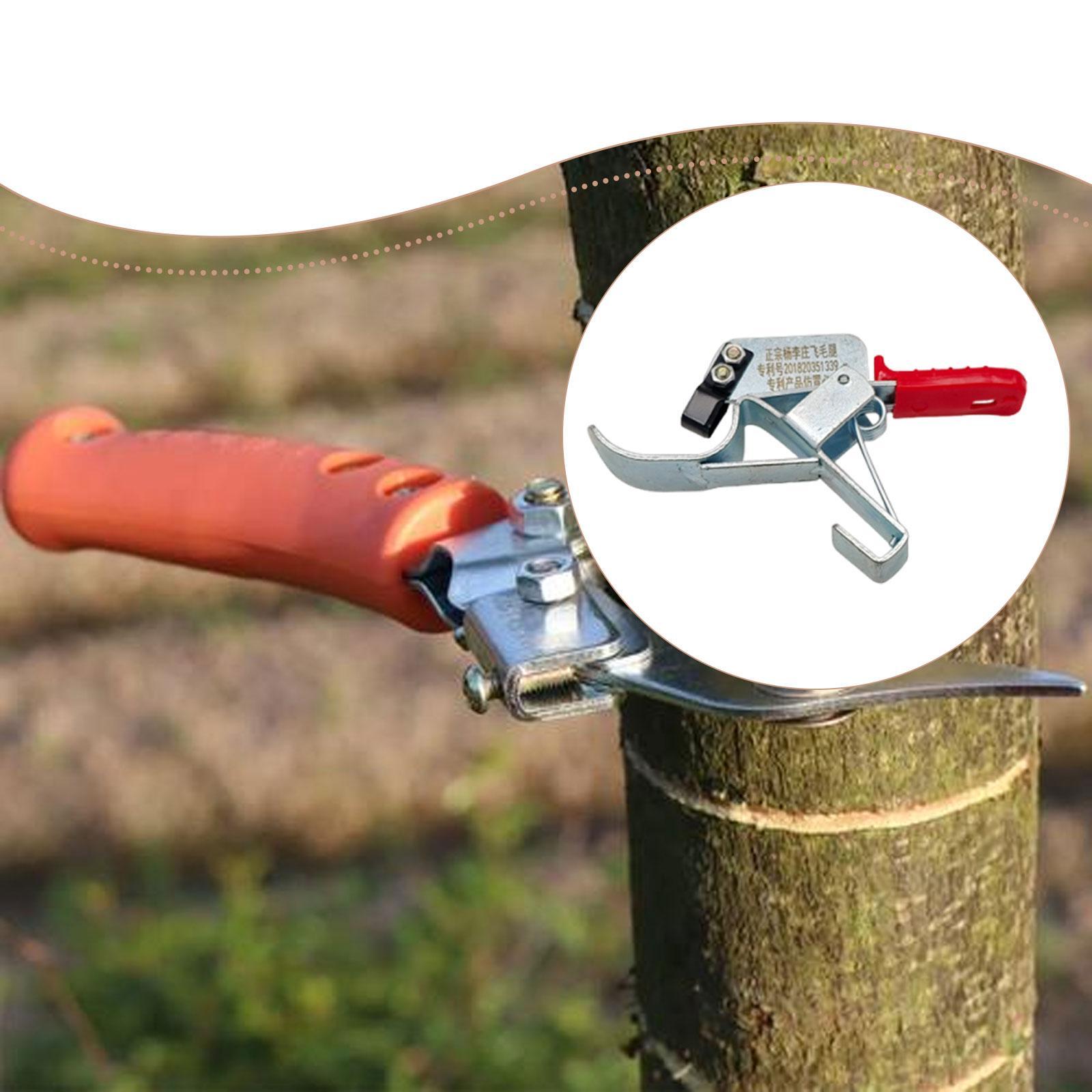 果樹の皮割りツール、必須で実用的、効率的で使いやすい、頑丈な - Gardening Tools Essential のレビューと価格