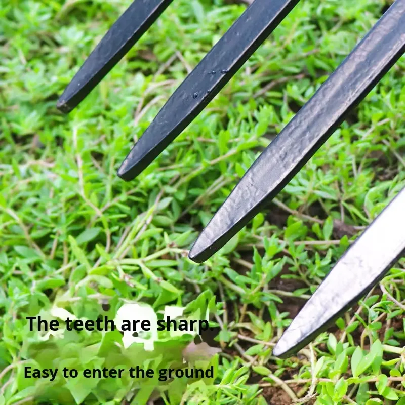 四歯鋼鉄製フォーク農業用耕運機、土壌緩め掘削用、木製ハンドル - Spade Digging Fork のレビューと価格