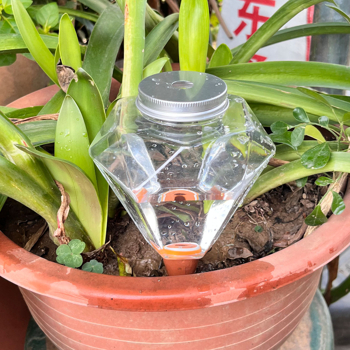 1個入り 可愛いプラスチック製自動給水器 室内/屋外植物用自 - Automatic Plant Waterer のレビューと価格