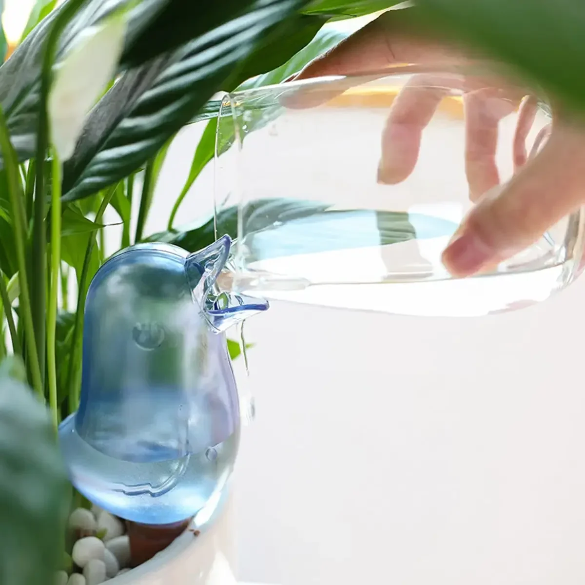 高品質自動花給水器植物給水器自己散水水風船鳥の形の手吹きプラ - Automatic Plant Waterer のレビューと価格