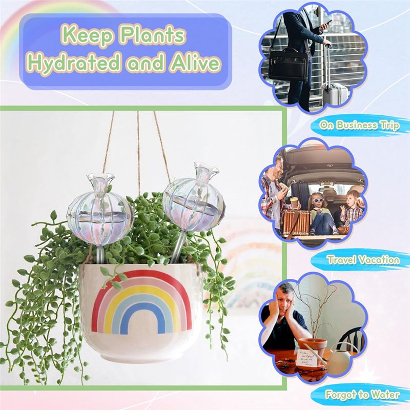AA94-植物用自動給水球、ガラス製サボテン用自動給水プラン - Self-Watering Planter のレビューと価格