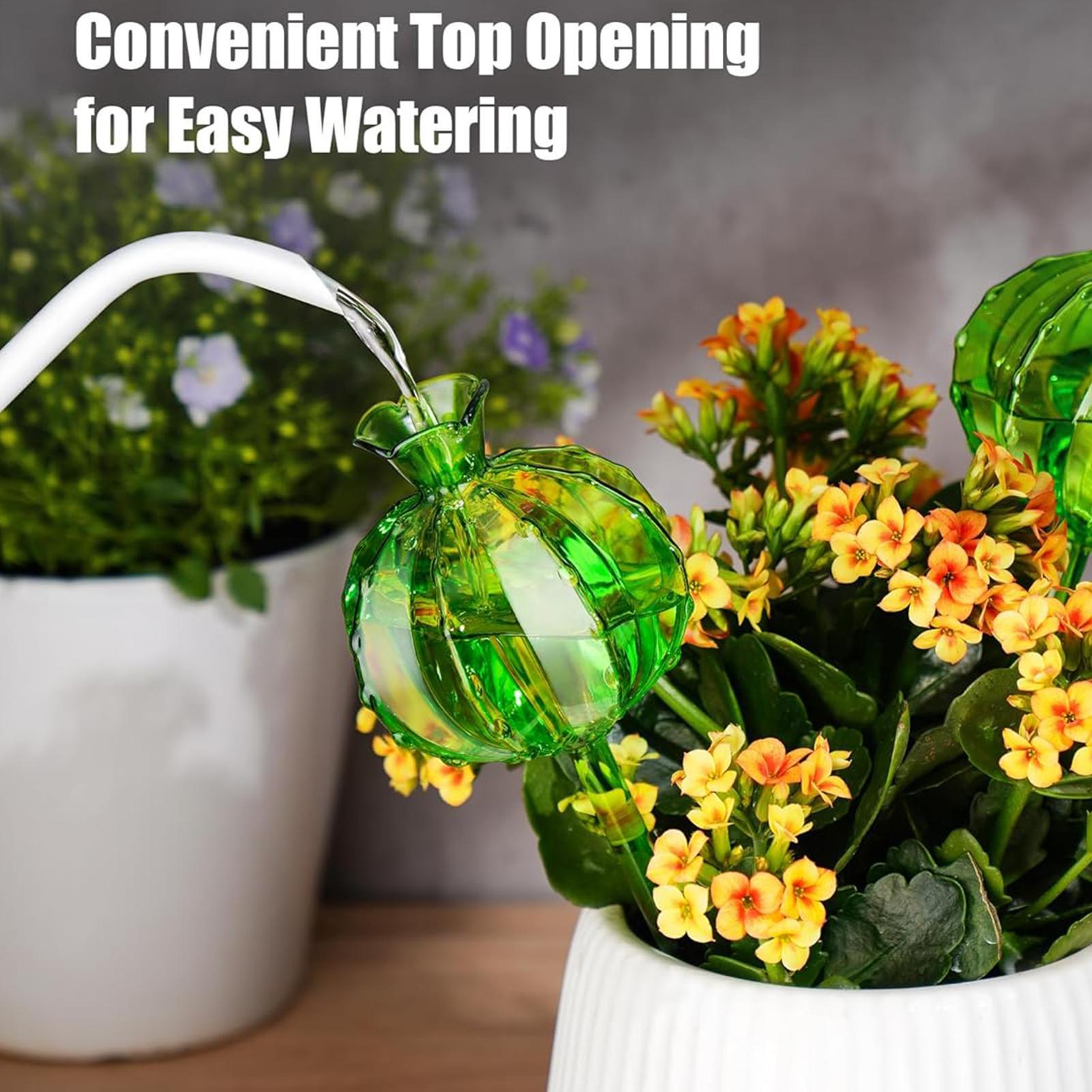 植物散水グローブステークス 3個入り 点滴灌漑 スローリリー - Automatic Plant Waterer のレビューと価格